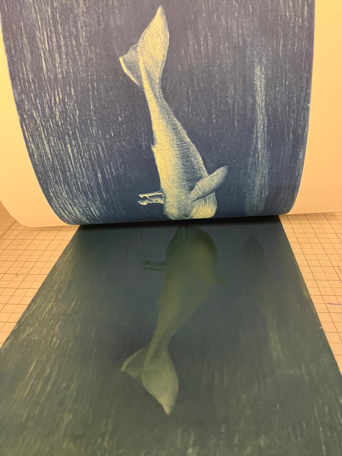 litho 10